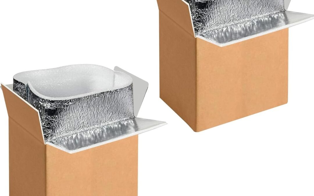 Wholesale OEM ODM 2 Pack Insulated Shipping Boxes with Aluminum Foil Liner,Thermal Insulation Cold Pack Shipping Boxes for Frozen, Reusable Styrofoam Cooler Box, Small Mailing Box, 6’’X5’’X9’’ Factory & Supplier