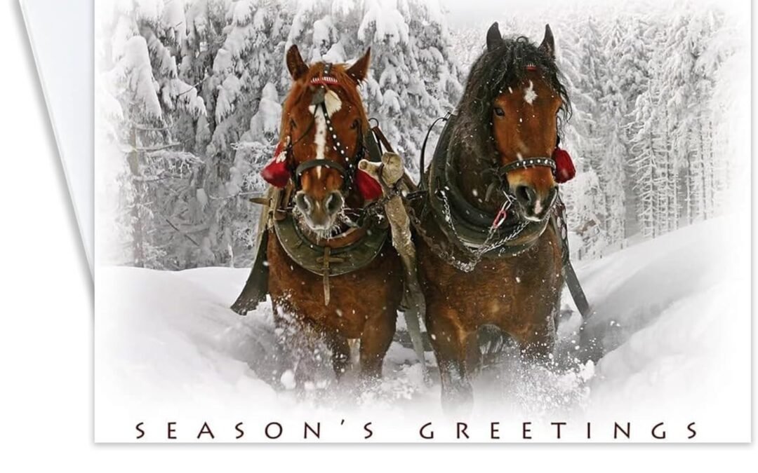 Wholesale OEM ODM Season’s Greetings Cards for Business & Family (Majestic Horses in Snow) Bulk Greeting Card Set Pack of 25 Christmas Cards with Envelopes (5×7 inch A7) Great for Office, Work Employees & Clients H7054 Factory & Supplier
