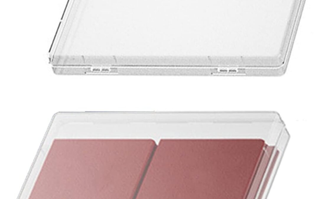 OEM 2 Pcs Portable Document Organizer Box,Important File Storage Box,Sturdy Plastic Transparent Office Home Travel Document Box For Passport,Electronic Accessories,Laptop,Files,Certificates(8.9×6.9×1 in). Factory