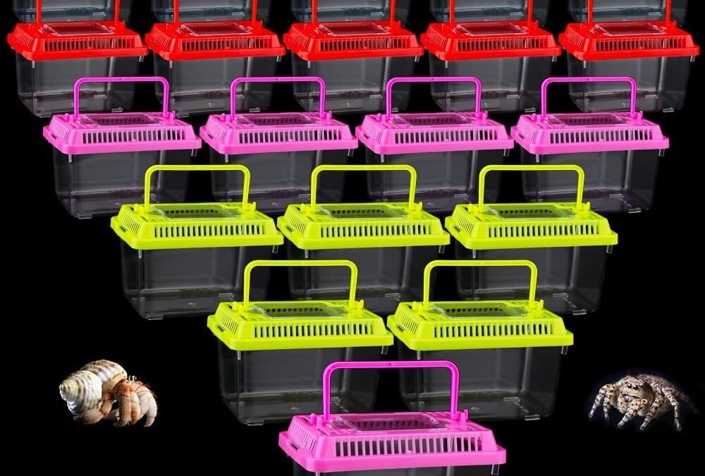 OEM 20 Pack Small Plastic Reptile Carrier Tarantula Enclosure Snake Breeding Box Hatching Container for Spider Fish Turtle Hermit Crab Bearded Dragon Lizard (5.1 x 3.5 x 3.5 Inch) Factory