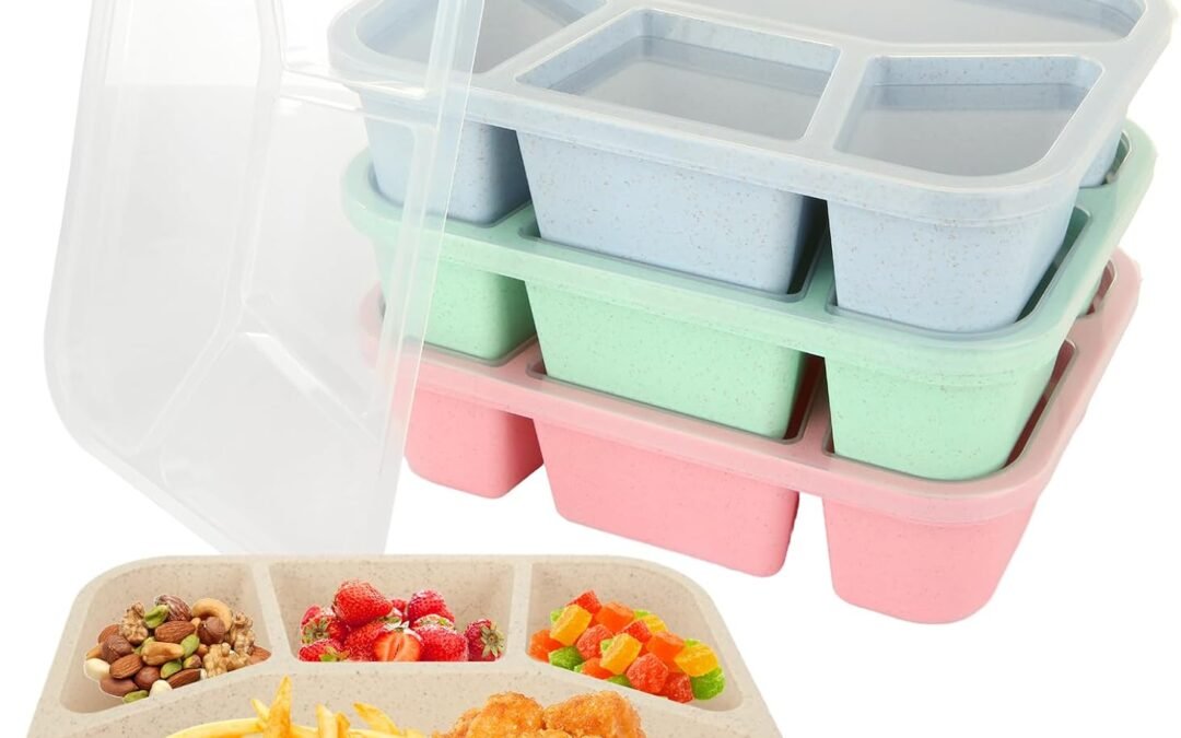 OEM 4Pcs Bento Snack Boxes, 4 Compartments Lunch Containers, Reusable Snack Containers with Clear Lid for Work Travel Meal Prep, Microwave Dishwasher Freezer Safe Factory