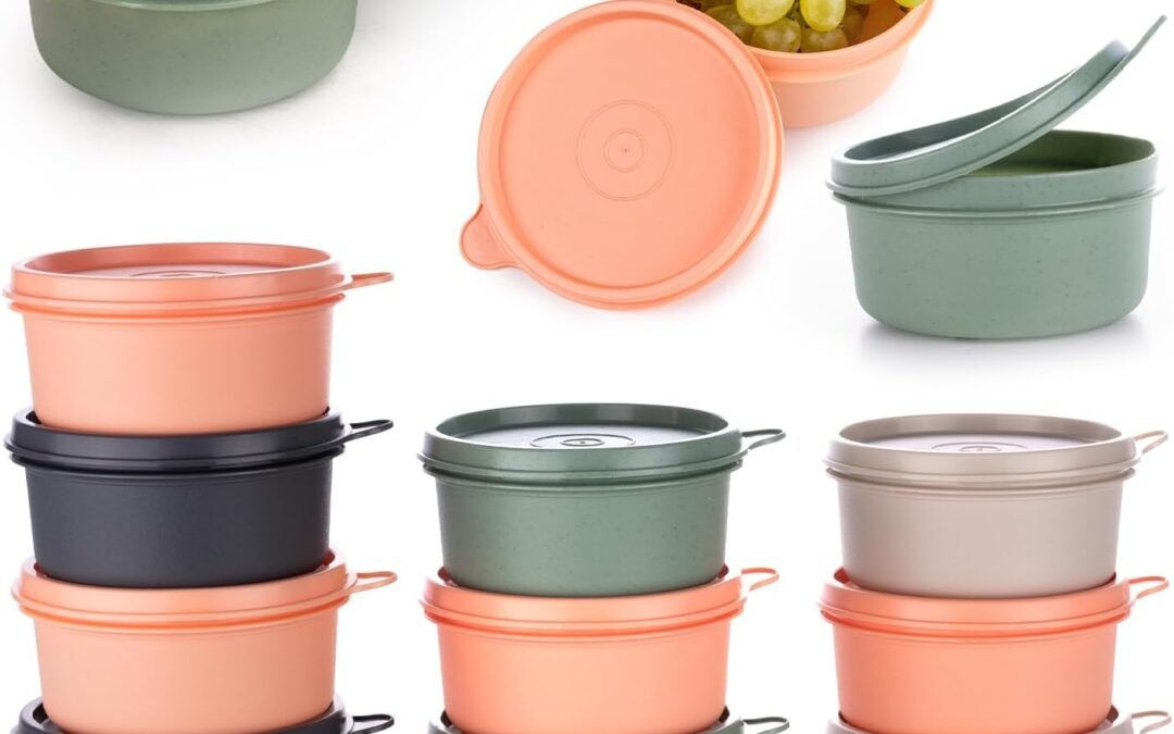 OEM 9 oz Small Round Food Storage Containers with Lids Set of 10, Airtight Leakproof Reusable, Plastic To Go Bento Box, Mini Lunch Box, Snack Storage Bowl, for Kitchen, Picnic (10) Factory