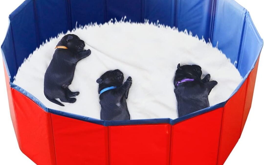 OEM Artilife Foldable Dog Bath Pool – Portable Whelping Box for Puppies (32″ Dia.x12″ H(80x30cm)) Factory