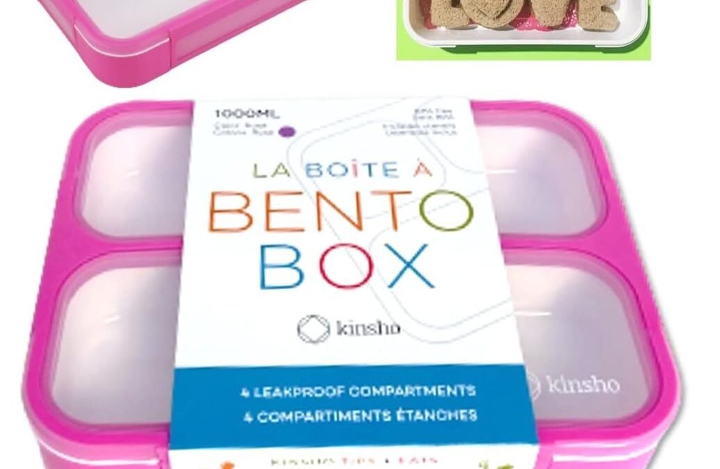 OEM Bento Lunch Box for Girls, Kids Adults | Snack Containers with 4 Compartment Dividers, Boxes for School Pre-School Daycare Lunches BPA Free, Food and Microwave Safe | Pink Rose (1 Pack) Factory