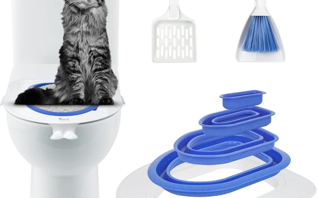 OEM Cat Toilet Training Kit, Plastic Sand Box Mat Trainer Toilet Cleaning Hygienic Pet Supply (2025) Factory