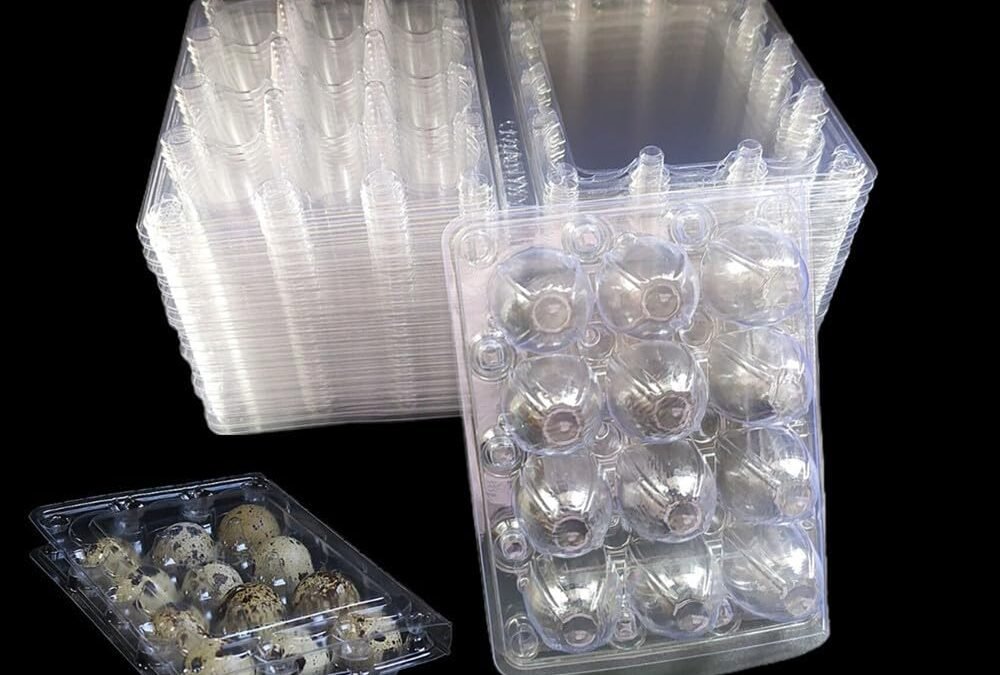 OEM Clear Plastic Quail Egg Cartons, 12 Tray Small Eggs Carton Holders Container, PVC Stackable Egg Storage Box with Hinge Lid, 12 Grids Egg Protection Box for Pheasant Pigeon (50 Pack) Factory