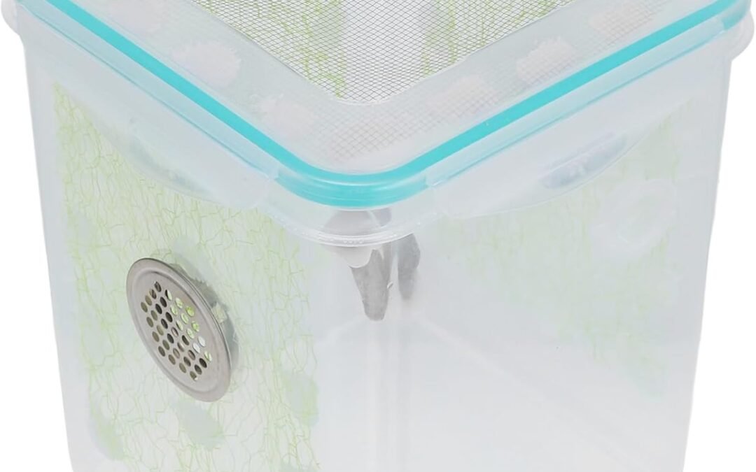 OEM DECHOUS Reptile Feeding Box for and Small Creatures Portable Clear Habitat with Ventilation Durable Plastic and Wood Material for Tarantulas Mantis and Other Pets Factory