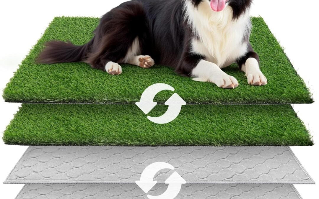 OEM Dog Grass Large Potty Patch, Dog Litter Boxes Artificial Grass Bathroom Turf for Pet Training, Washable Puppy Pee Pad, Perfect Indoor/Outdoor Portable Potty Pet Loo Factory