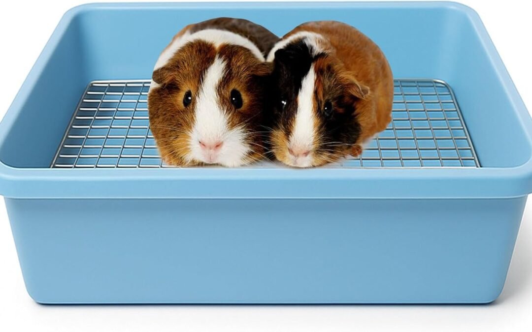 OEM Oncpcare Guinea Pig Litter Box with Metal Grid, Plastic Bunny Litter Pan Potty Trainer Tray for Small Animals, Guinea Pig, Ferret, Rat, Ideal for Cage Training and Easy Cleaning (15”x12”x4”, Blue) Factory