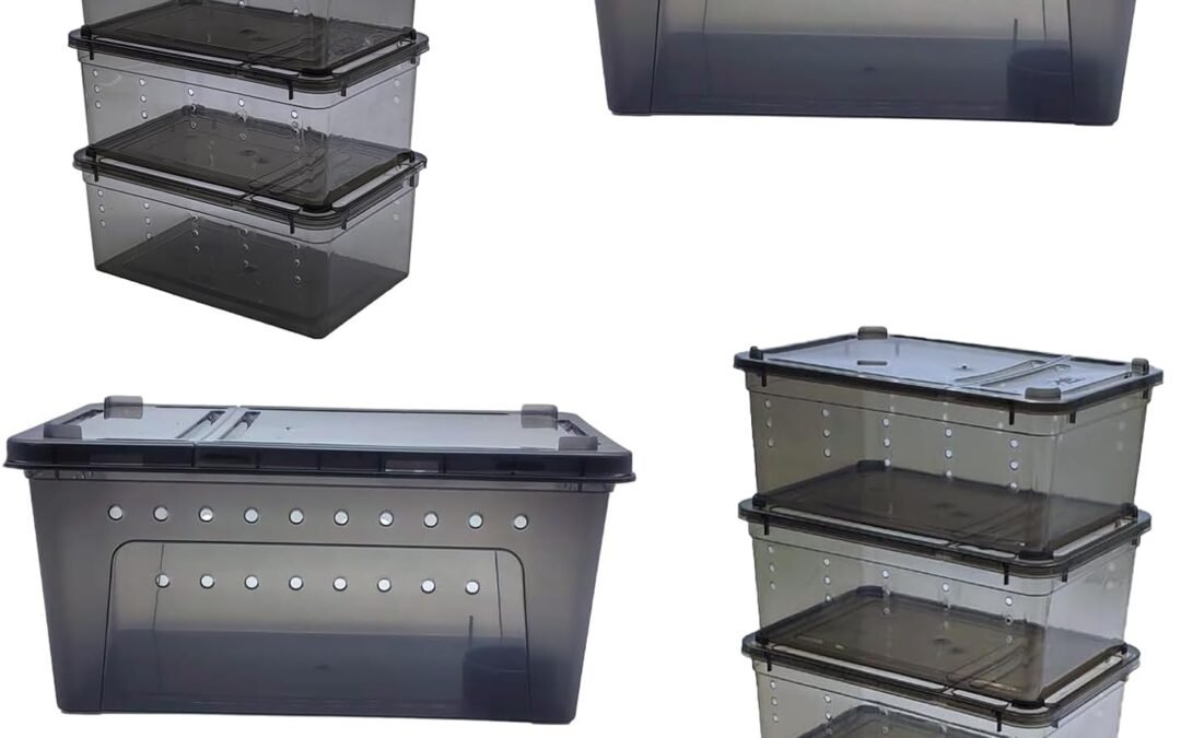 OEM PINVNBY 10 PCS Reptile Feeding Box Portable Snake Breeding Box Lizard Cage Hatching Container Transparent Plastic Pet Houses for Spider Scorpion Gecko Insect Tortoise Treefrog(Black(2 Large 8 Small) Factory