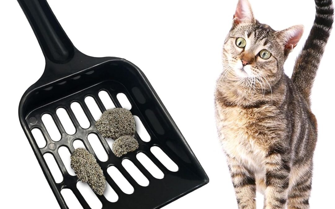 OEM SunGrow Cat Pellet Scoop, Pet Litter Box and Enclosure Maintenance Tool, Sifter and Poop Lifter, Plastic Shovel, 8” (l) 3.5” (w) x 1” (d), Black,1 Pc per Pack Factory