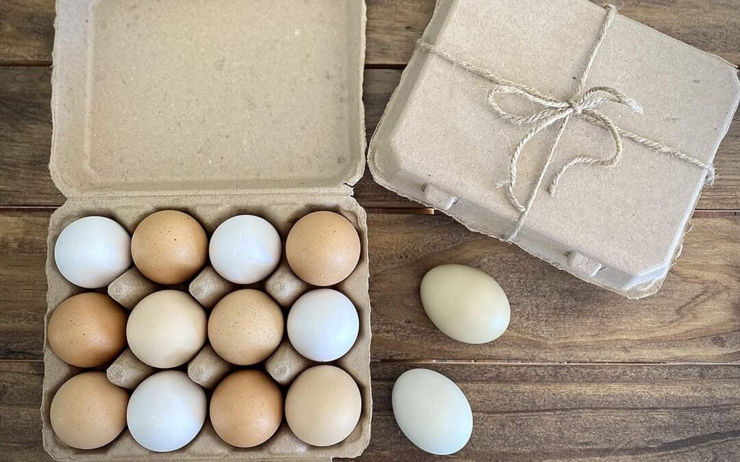 OEM Vintage Blank Egg Cartons- Classic 3×4 Style Holds 12 Large Eggs, Sturdy Design Made from Recycled Cardboard (25) Tan Factory