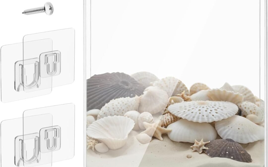 Wholesale OEM ODM 8.5 x 11 Inch Clear Acrylic Wall Mount Seashell Display Box, 3D Floating Display Case Shadow Box Frame, Ideal for Wine Bottle Caps, Tickets, Shells, Stamps and More Factory & Supplier