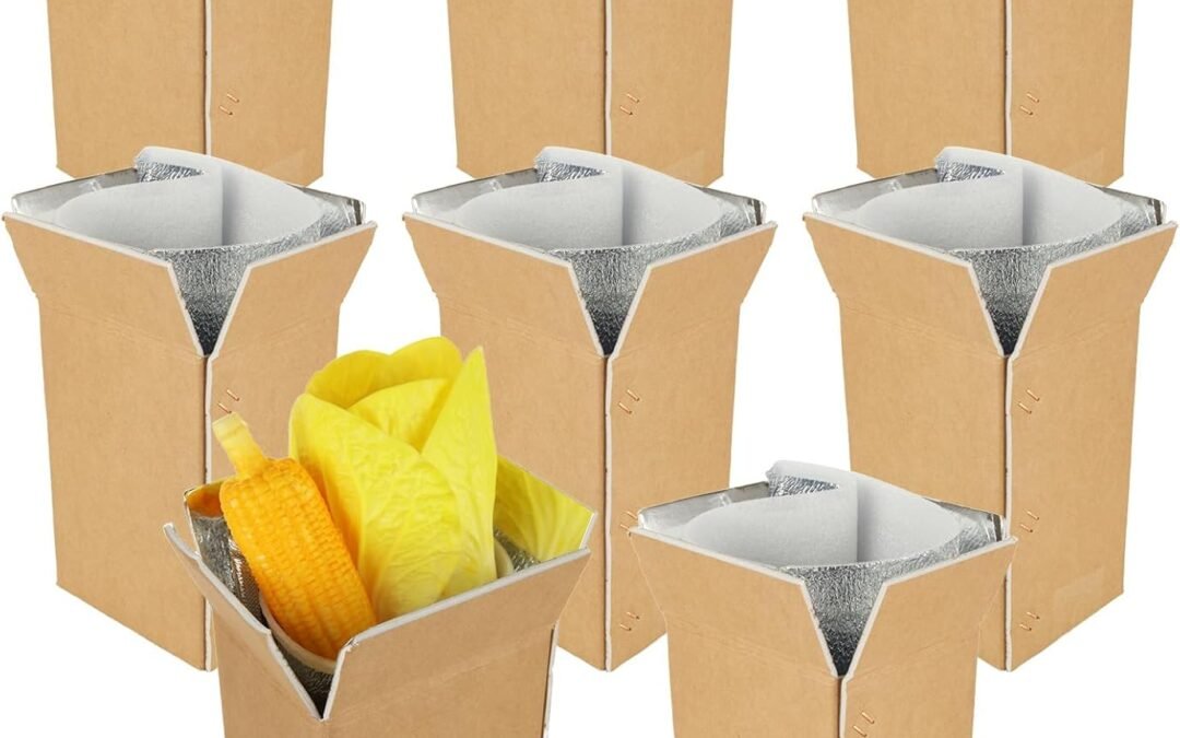 Wholesale OEM ODM 8PCS 6x5x9 Double Insulated Shipping Box with Aluminum Foil Insulated Bag Liner, Small Cold Shipping Boxes for Frozen Food, Perishable Food Shipping Boxes Factory & Supplier