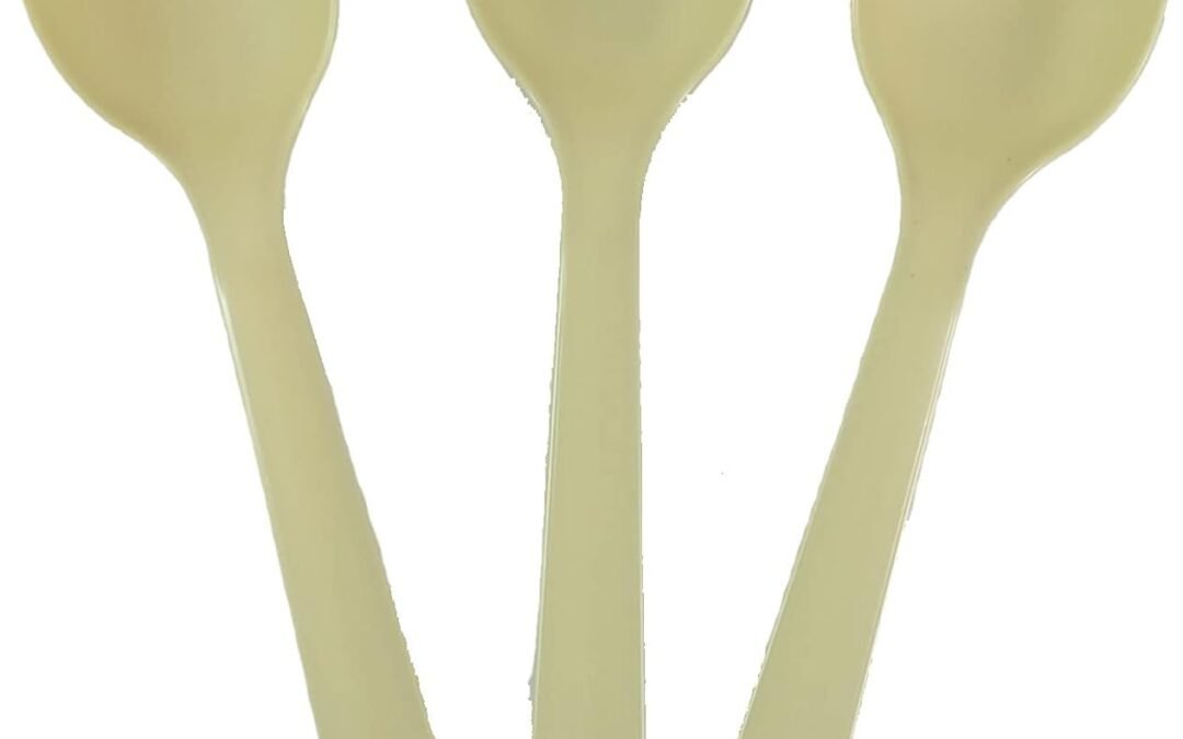 Wholesale OEM ODM CPLA Heavy Weight Disposable Soup Spoon BPI Certified (100) Factory & Supplier