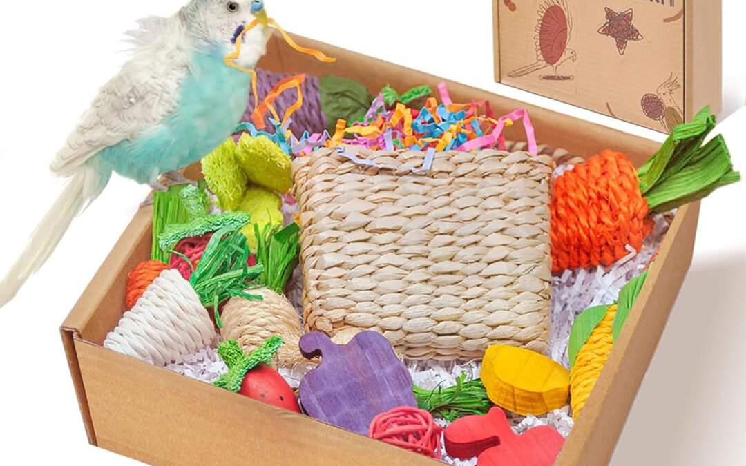 Wholesale OEM ODM Colorful Bird Foraging & Parrot Shredding Toys Box – Safe Fruit & Vegetable Bird Toys, Perfect for Parakeets, Cockatiels, and Small to Medium Birds Factory & Supplier