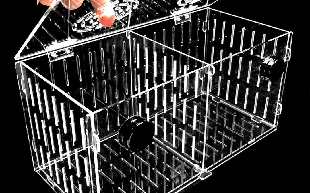Wholesale OEM ODM Magnetic Acclimation Box fish Breeder Nursery isolation Tank Factory & Supplier