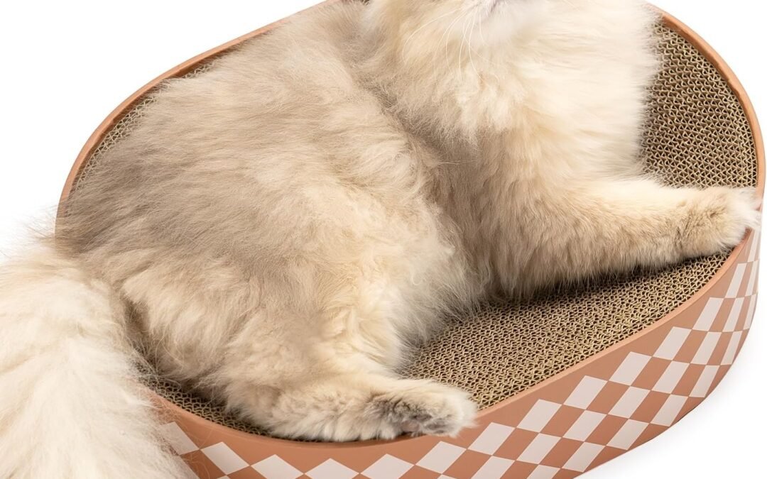 Wholesale OEM ODM Oval Cat Scratcher Bed, 2-in-1 Cat Scratching Board, Natural Corrugated Cardboard Scratch Pad Lounge, Sealed Base Traps Debris,No Assembly Kitty Furniture,Stylish Colors Blends Any Home Decor Factory & Supplier