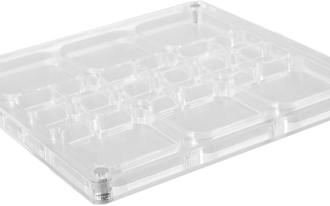 Wholesale OEM ODM Seashell Display Box Acrylic Storage Case with Multi Compartments for Shells and Trinkets Simple Design for Home Scratch Magnetic Protection Factory & Supplier