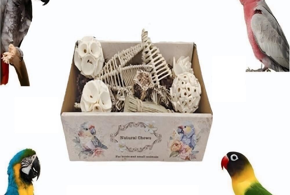 Wholesale OEM ODM Small Style Bird Toys Bird Foraging Shredding Chewing Parrot Foraging Shredding Toys Chewing Toy Birdcage Accessories for Conures Caiques Cockatiel Budgies Parakeet and Small to Medium Birds Factory & Supplier